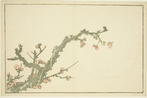 Albero di prugne in fiore, dal Libro delle pitture realistiche di Hokusai da Katsushika Hokusai