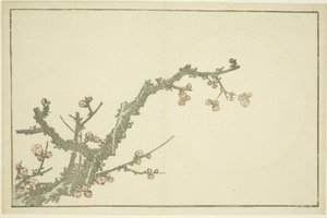 Albero di prugne in fiore, dal Libro illustrato di pitture realistiche di Hokusai (Hokusai shashin gafu), c.1814 da Katsushika Hokusai