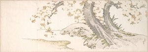 Ciliegi in fiore lungo un ruscello da Katsushika Hokusai