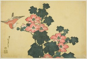 Rose di cotone e passero, da una serie senza titolo di Grandi Fiori da Katsushika Hokusai