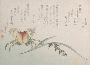 Granchio e pianta di riso, XIX secolo da Katsushika Hokusai
