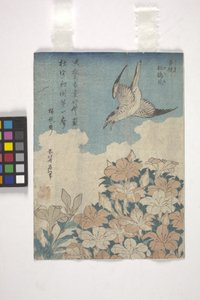 Cuculo e azalea da Katsushika Hokusai