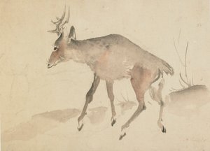 Cervo da Katsushika Hokusai