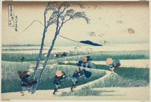 Ejiri nella provincia di Suruga (Sunshu Ejiri), dalla serie "Trentasei vedute del Monte Fuji (Fugaku sanjurokkei)" da Katsushika Hokusai