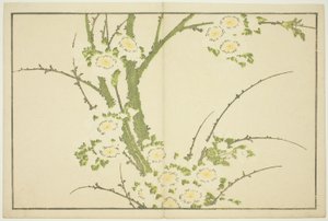 Fiori, dal Libro delle Immagini di Pitture Realistiche di Hokusai (Hokusai shashin gafu) da Katsushika Hokusai