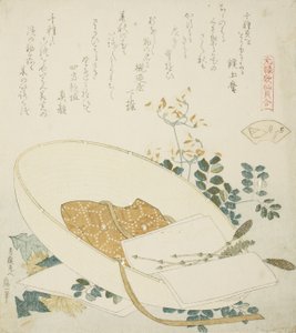 Fiori appena raccolti in un cappello da viaggiatore, illustrazione per Il guscio dei mille fili d