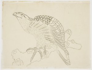 Falco su un ramo (studio) da Katsushika Hokusai