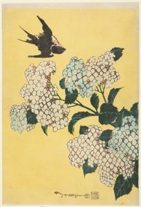 Ortensia e rondine, da una serie senza titolo di grandi fiori da Katsushika Hokusai
