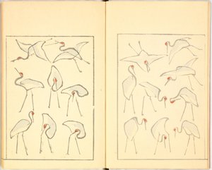 Libro illustrato da Katsushika Hokusai