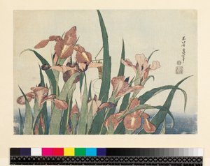 Iris e cavalletta, pub. da Nishimura Eijudo, c.1832 da Katsushika Hokusai