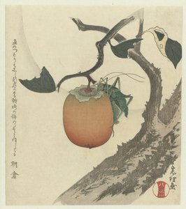Frutto di cachi con cavalletta da Katsushika Hokusai