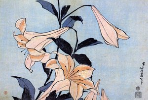 Lys da Katsushika Hokusai