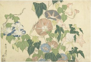 Glorie del Mattino e Rana Arboricola, dalla serie senza titolo nota come Grandi Fiori, c.1833-34 da Katsushika Hokusai