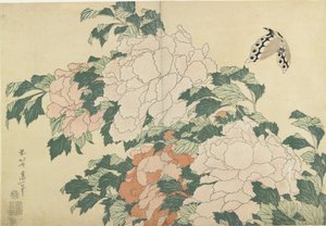 Peonie e farfalla, c. 1830-1831