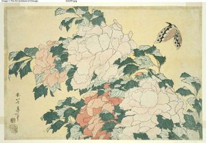Peonie e Farfalla, da una serie senza titolo di grandi fiori da Katsushika Hokusai