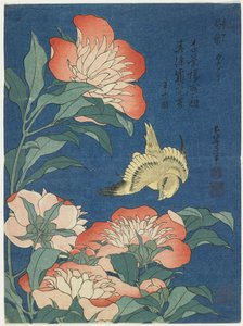 Peonie e canarino, c. 1833 da Katsushika Hokusai