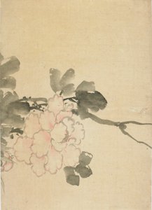 Peonia da Katsushika Hokusai