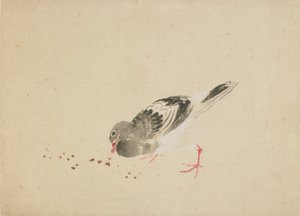 Piccione da Katsushika Hokusai