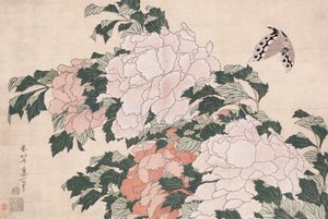 Peonie rosa e rosse soffiate a sinistra in una brezza e una farfalla
