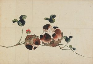 Melograni, fine XVIII-inizio XIX secolo da Katsushika Hokusai
