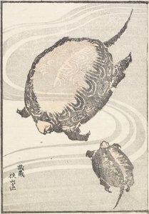 Stagno Sayama-ga-ike nella provincia di Musashi, 1817
