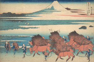I nuovi campi a Ono nella provincia di Suruga Sunshu Ono shinden, dalla serie Thir..., ca. 1830-32 da Katsushika Hokusai