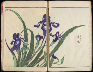 Trasmettere lo spirito e rivelare la forma delle cose: Il giardino delle immagini di Hokusai, vol. 1 completo da Katsushika Hokusai