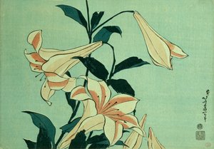 Gigli trombetta da Katsushika Hokusai