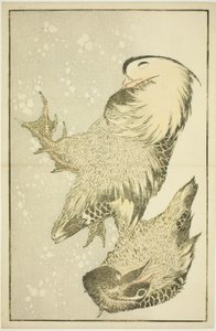 Due uccelli acquatici, dal Libro illustrato di pitture realistiche di Hokusai (Hokusai shashin gafu) da Katsushika Hokusai