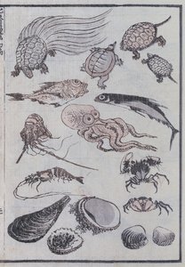 Creature sottomarine, da un Manga