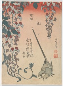 Ballerina e glicine, periodo Edo, 1834 da Katsushika Hokusai
