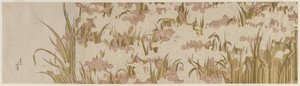 Iris bianchi e viola, inizio 1800