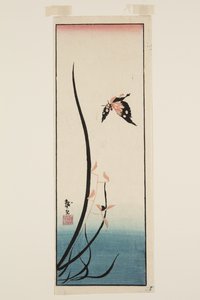 Farfalla e erba da Katsushika II (fl.1820 50) Taito