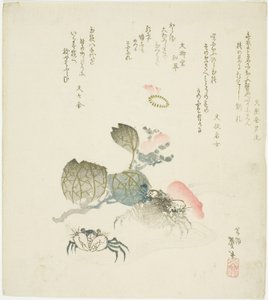Due granchi vicino a un ramo di camelia da Katsushika Taito II