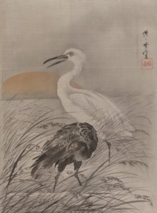 Gru nella palude da Kawanabe Kyosai