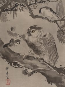 Gufo deriso da piccoli uccelli, ca. 1887