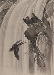 Rondini presso una cascata, ca. 1887 da Kawanabe Kyosai
