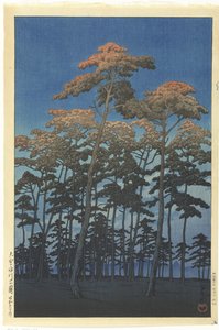 Parco Hikawa a Omiya da Kawase Hasui