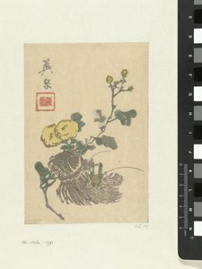 Cavalletta e fiori da Keisai Eisen