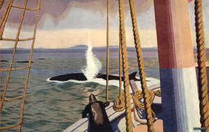 Caccia alla balena in Antartide da Keith Henderson