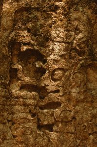7319 Oxpemul, Maya, Culture Antiche, Maya, Messico, Riserva della Biosfera Maya, Ivan Spr, 2004