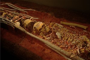 Archeologia; Ominide; Ominino; Evoluzione Umana - Homo sapiens sapiens; Evoluzione Umana; Era Glaciale, 2000 (foto)