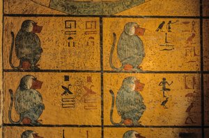 Babuini, pittura murale nella tomba di Re Tutankhamon; KV52, Valle dei Re, Tebe da Kenneth Garrett