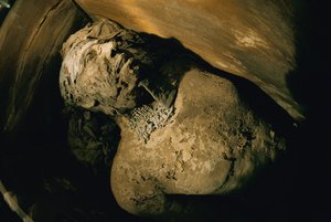Egitto; Archeologia; Antico Regno; Saqqara; Mummia; Nefer; Tomba, V dinastia