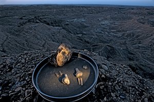 Il Bambino di Lucy, Zeray Alemseged, Australopithecus Afarensis, Etiopia, Paleontologo, 2006