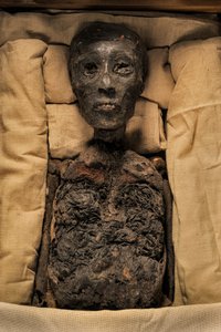 Mummia del re Tut, mm7864; XVIII dinastia; Nuovo Regno; Museo Egizio; Il Cairo; Egitto, 2005 da Kenneth Garrett