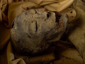 Mummia della madre del re Tut (nota come la Signora Giovane)