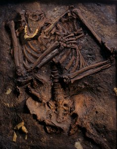 Neandertal, calco dipinto, grotta di Kebara, Monte Carmelo, "Moshe", circa 60.000 BP, Israele