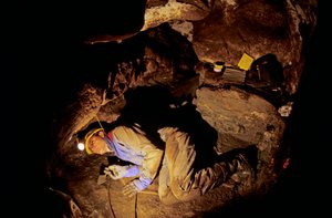 Chi erano i primi americani, Timothy Heaton, scavi, On your Knees Cave, Prince of Wales Island, 2008
