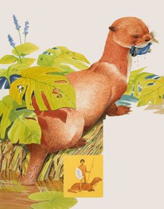 Il Saro